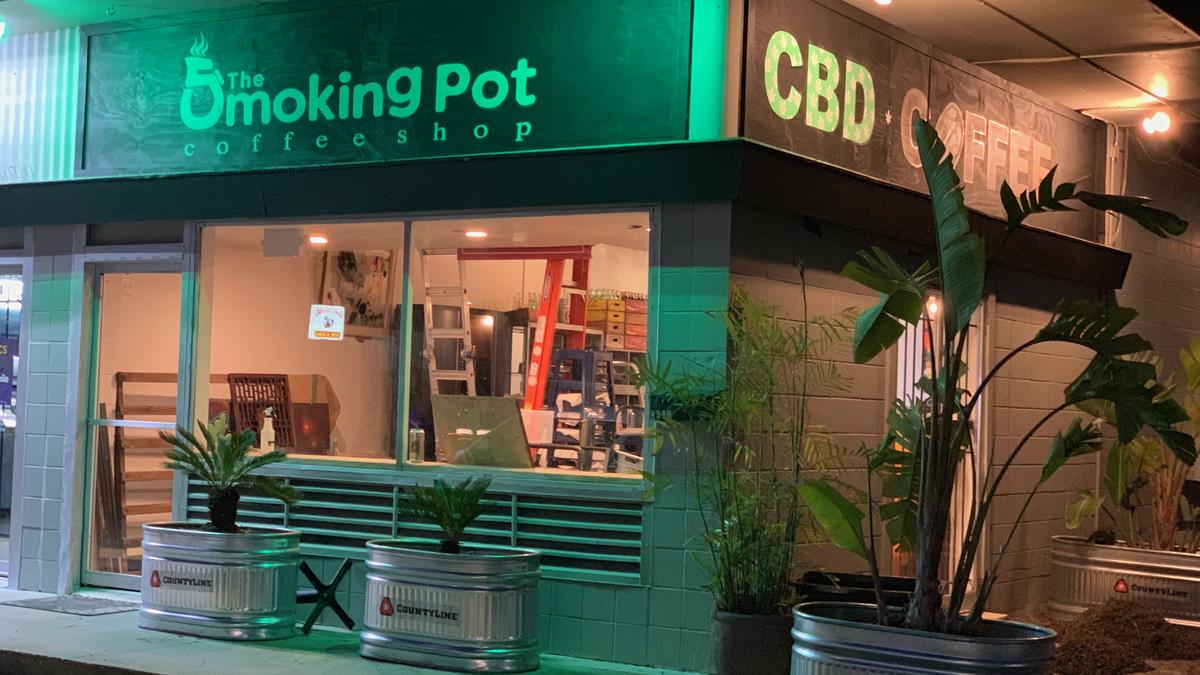 Netherlands to Close Cannabis Coffee Shops to Tourists