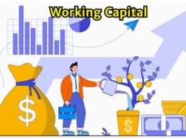 How to Manage Working Capital for Success